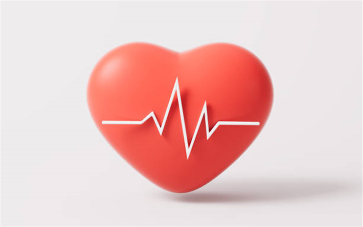 istockphoto-1497542905-612x612.jpg